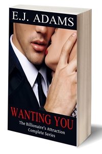 Wanting You Paperback - web